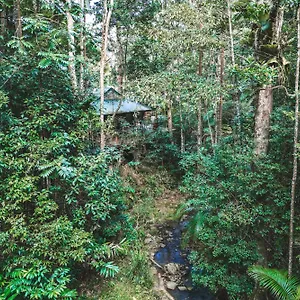 Narrows Escape Rainforest Retreat Lodge Montville
